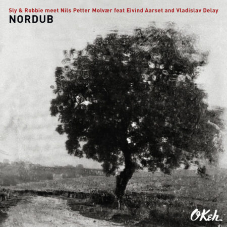 Sly & Robbie - Nordub - vinyl record